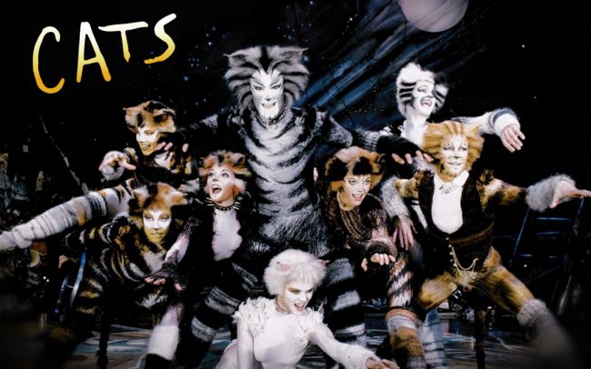 cats4