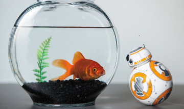 bb83