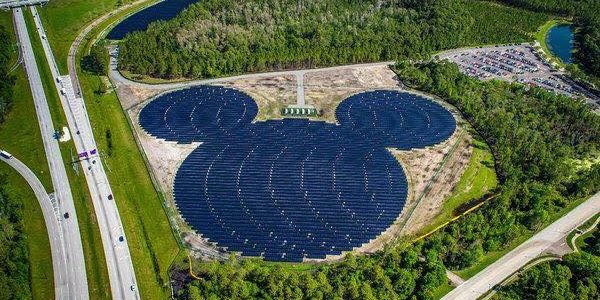 WhatsApp Image 2019-05-26 at 16.35.14